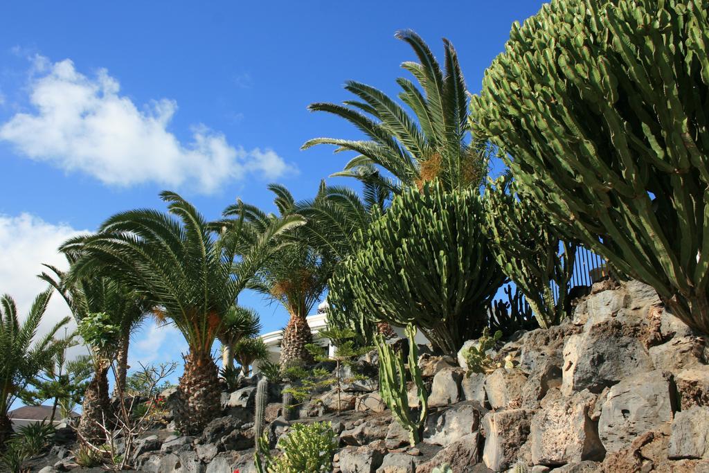 Casa Ronda Villa ชาร์โก เดล ปาโล ภายนอก รูปภาพ